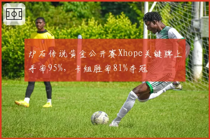 炉石传说黄金公开赛Xhope关键牌上手率95%，卡组胜率81%夺冠